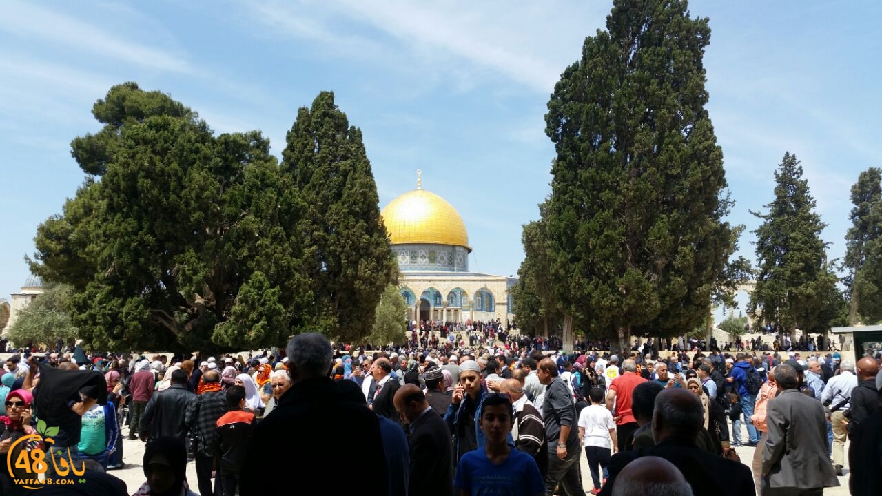 a7bab al aqsaa (20).jpg